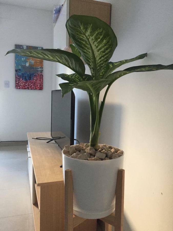 Trendy Full Apartment In Recoleta Buenos Aires Buitenkant foto